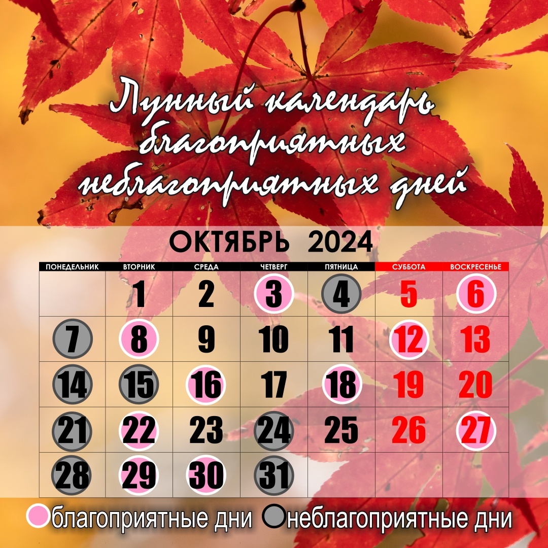 Лунный календарь на октябрь 2024 г.