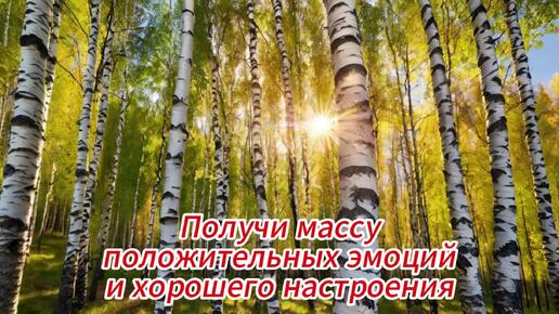 Пробудите счастье внутри себя: как медитация превращает стресс в радость и наполняет жизнь положительными эмоциями!