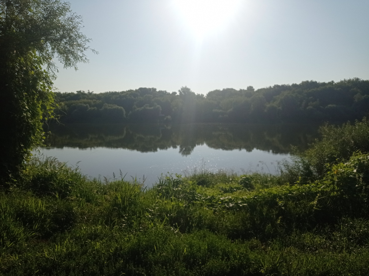 Река Дон. Фото автора. 