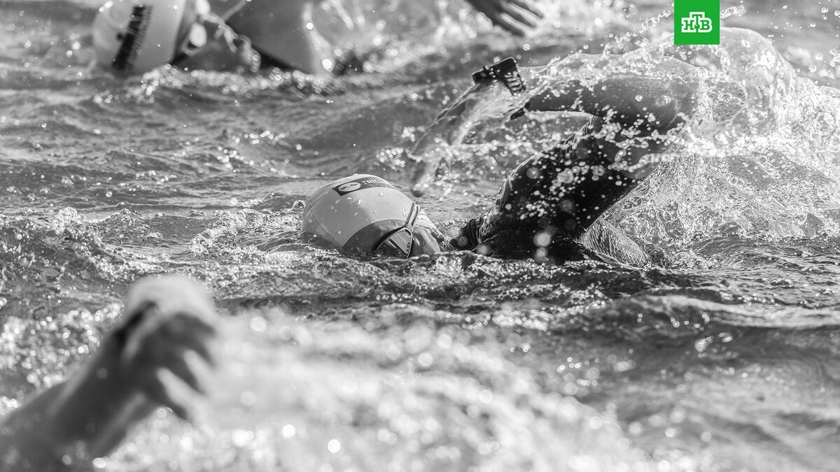    Фото: Jorge Romero / unsplash.com