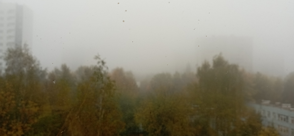 Октябрь в Лианозово. Вид из моего окна. ЗДЕСЬ и далее фото автора и(или) из личного архива автора, если не указано иначе.