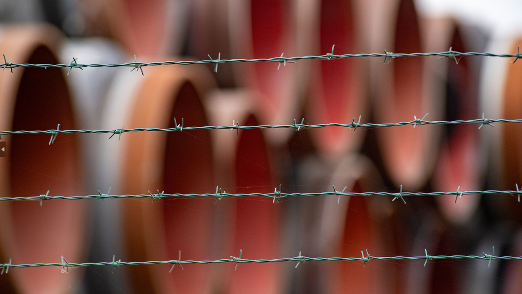    © STEFAN SAUER/ GLOBAL LOOK PRESS