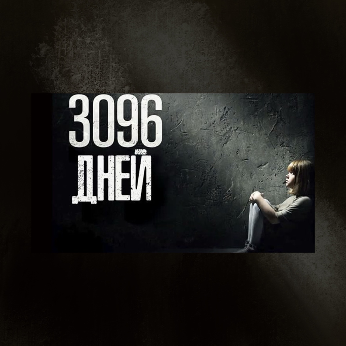 3096 Tage (2013)