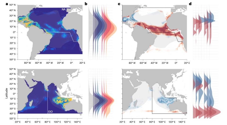   Freya Womersley et al. / Nature Climate Change, 2024