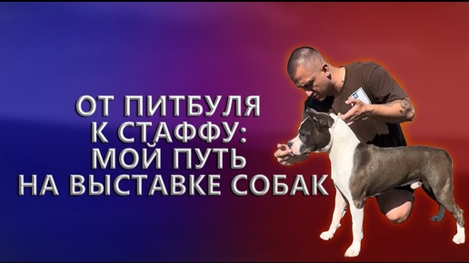 ОТ ПИТБУЛЯ К СТАФФУ: МОЙ ПУТЬ НА ВЫСТАВКЕ СОБАК