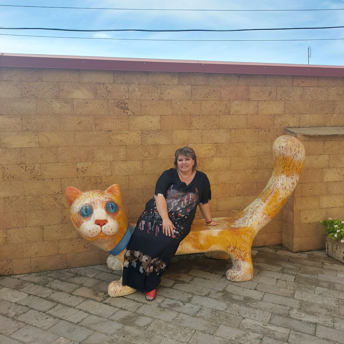 Йоськин кот и я