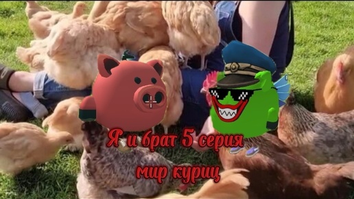 Я и брат 5 серия мир куриц