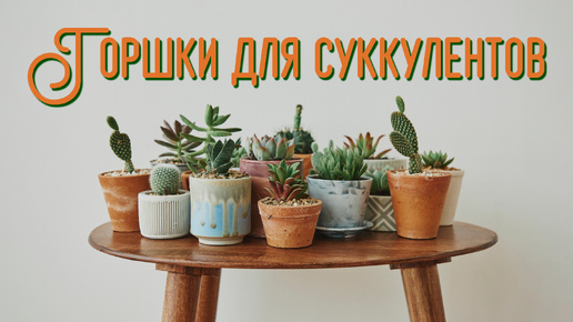 Горшки для суккулентов