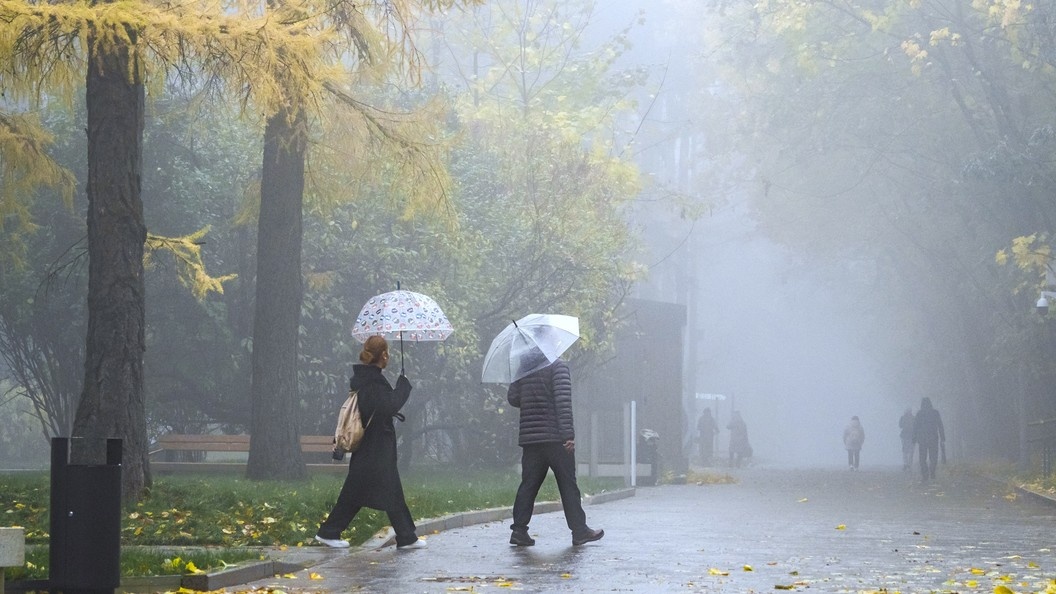    Konstantin Kokoshkin/Globallookpress