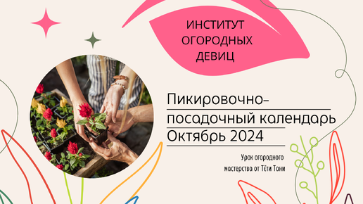 КАЛЕНДАРЬ ТРИГОНОВ. Октябрь 2024. Посадка-пересадка-прикопка.