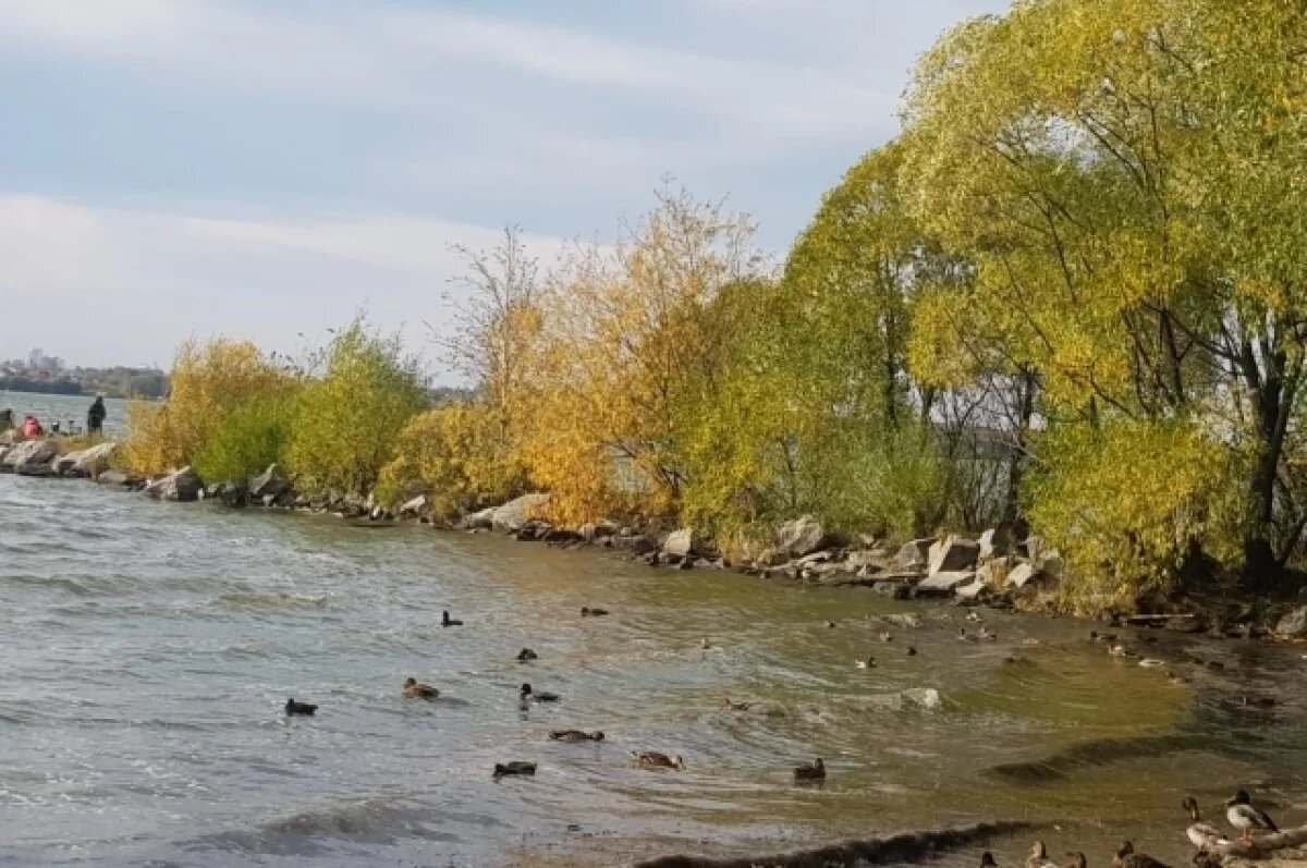    В Тюмени в три этапа проведут очистку озера Алебашево