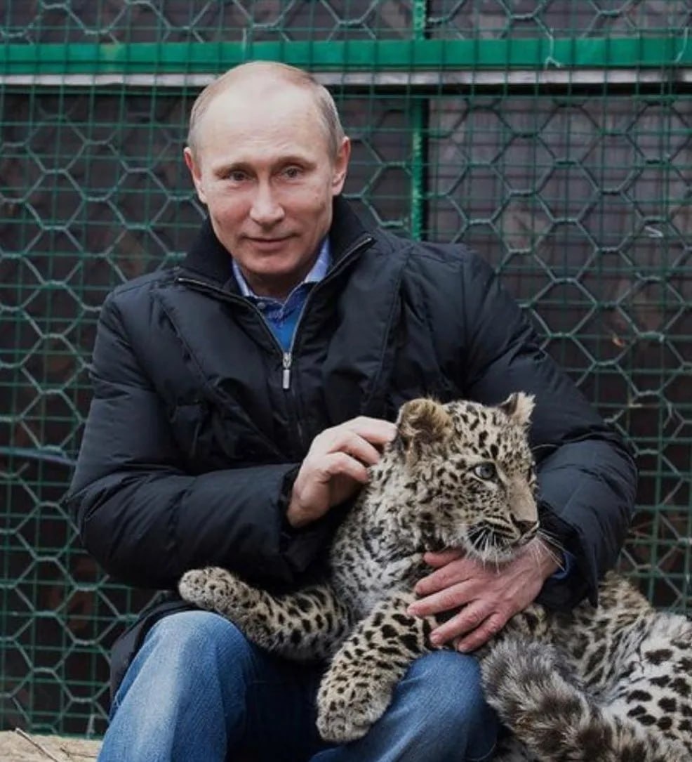 У Вас всё получится, Верховный главнокомандующий!