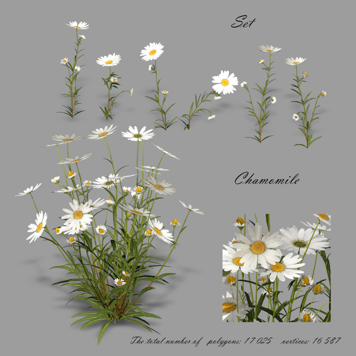   
3D модель ромашки полевой_001 Формат:3D Max 2009_scanline_mental+obj+FBX


