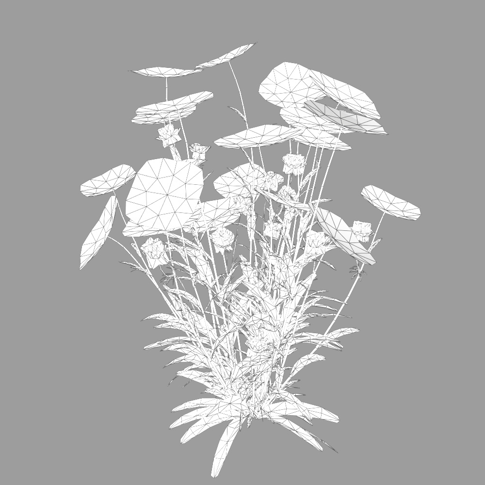 3D модель ромашки полевой_001 Формат:3D Max 2009_scanline_mental+obj+FBX