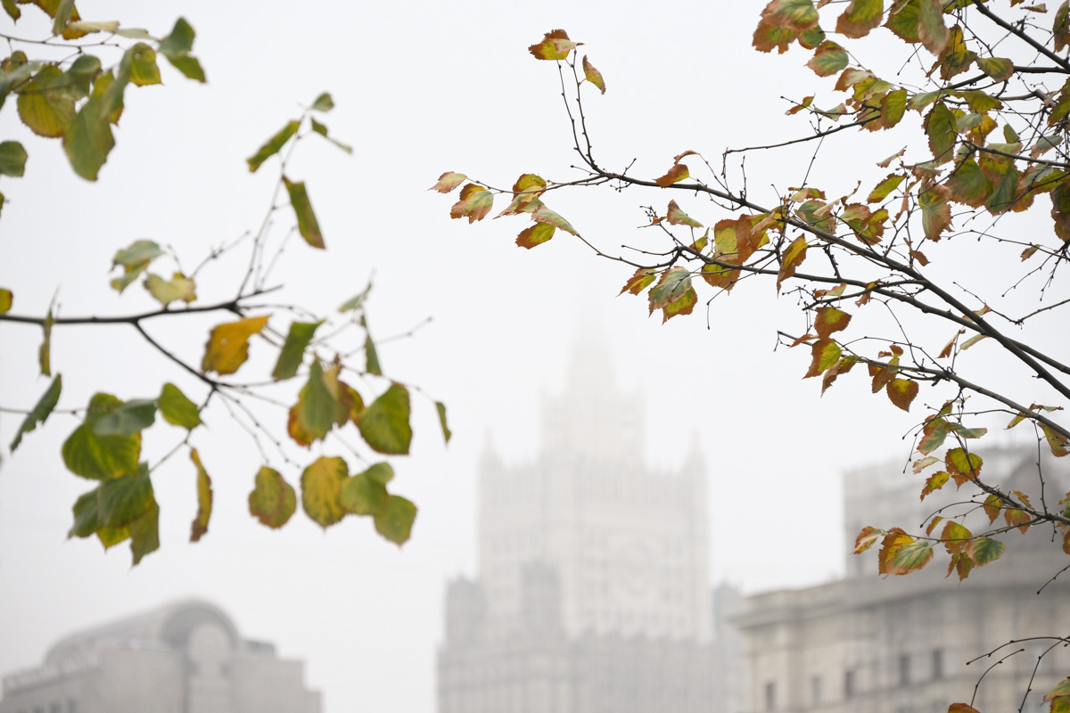 Антон Великжанин / M24