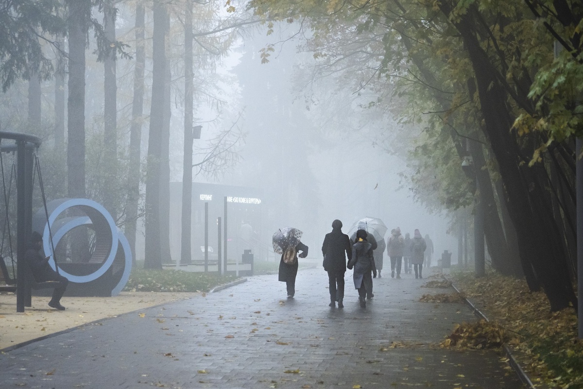     / globallookpress.com / Konstantin Kokoshkin