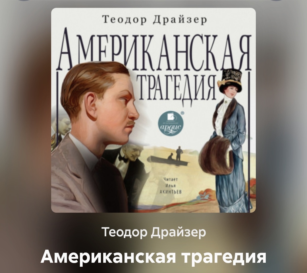 Скриншот обложки книги на ЛитРесе. Чтец хороший 