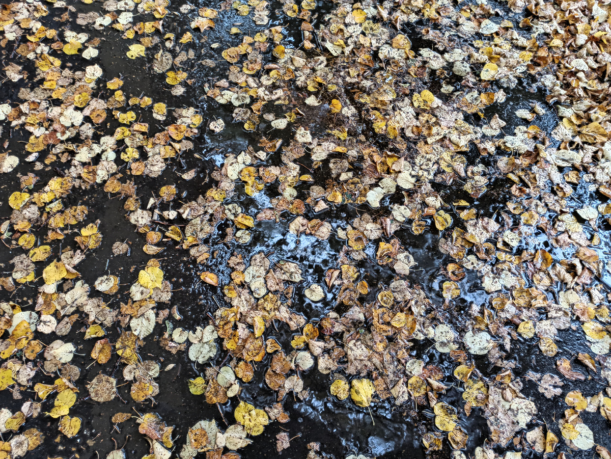 Фото автора. В выходные наконец пошел дождь