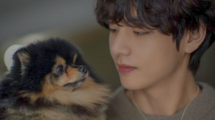 это - любовь!