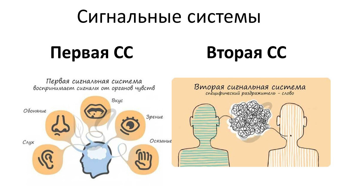 Да, слушает человек посредством ПСС, но слышит-то он слово!