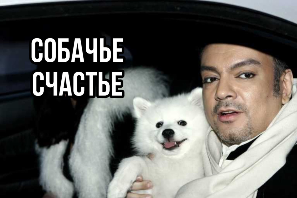Филипп Киркоров и его шпиц Харри. Фото из открытых источников