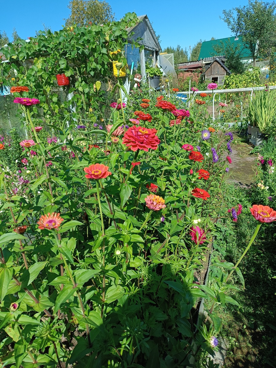 Очень много цветов))))