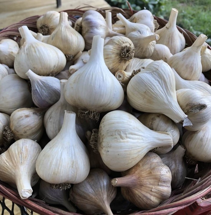 Фото из архива