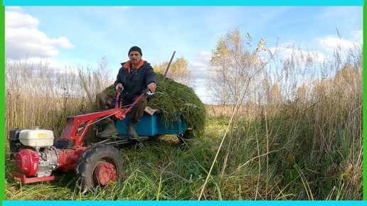 Дела деревенские, в октябре их слишком много!