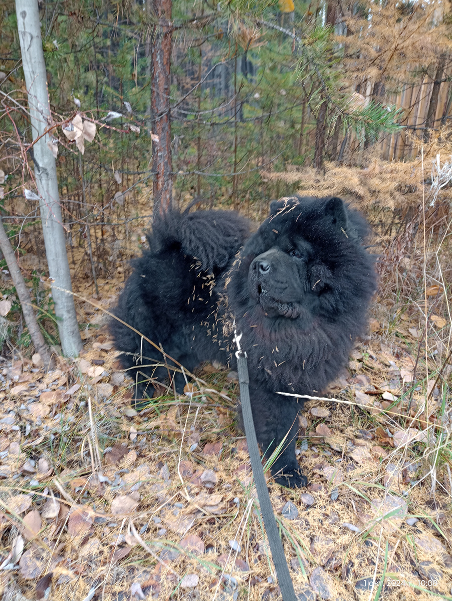 Фото для обложки