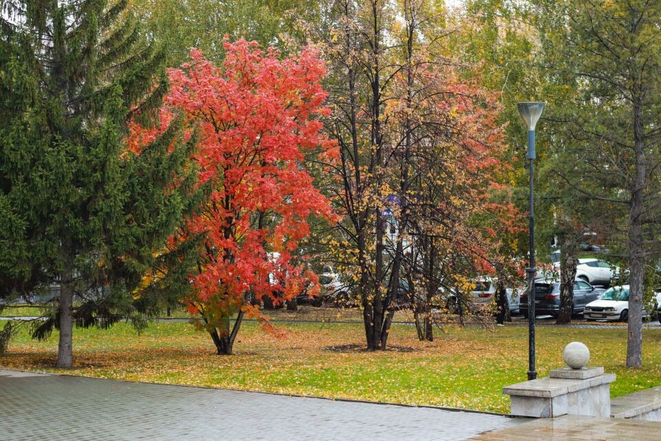    Осень в Барнауле. Источник: Виталий Барабаш