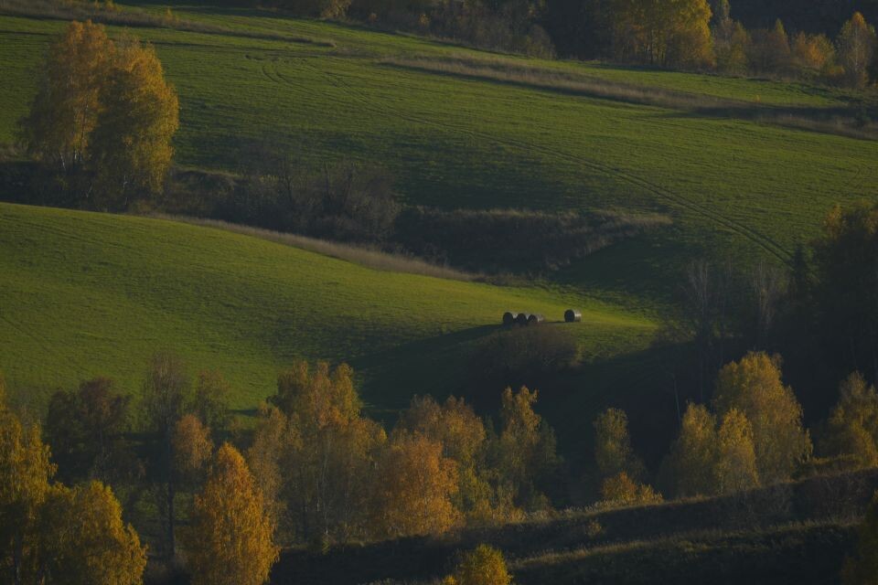    Осенний Горно-Алтайск. Источник: Андрей Сороко / "Толк"