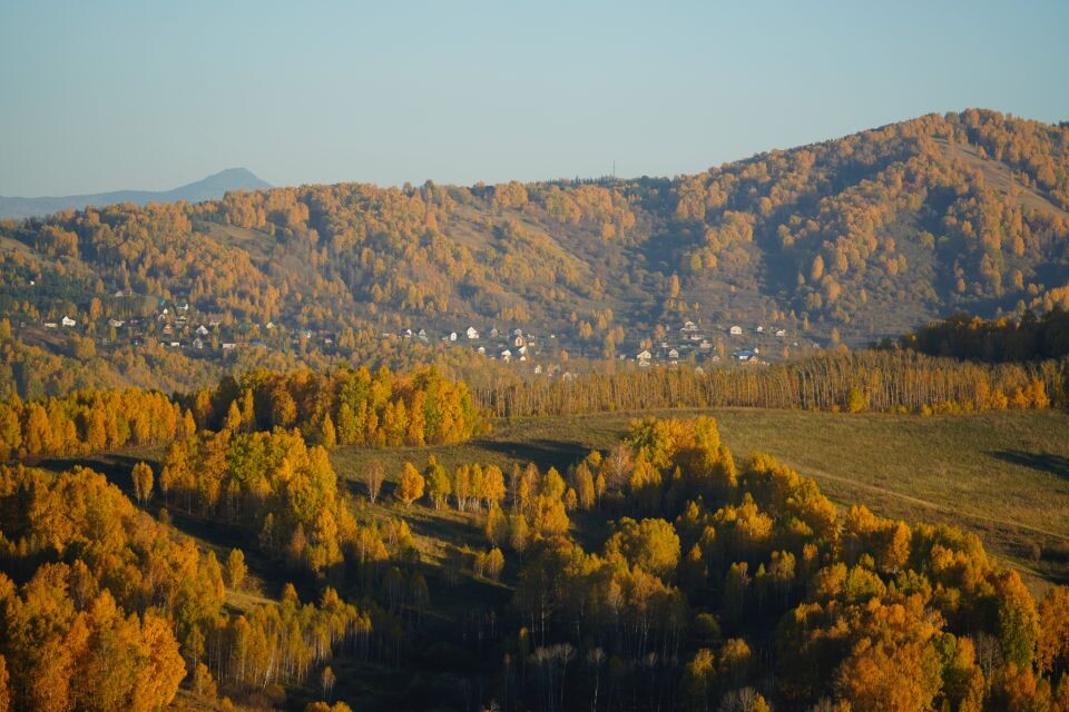    Осенний Горно-Алтайск. Источник: Андрей Сороко / "Толк"