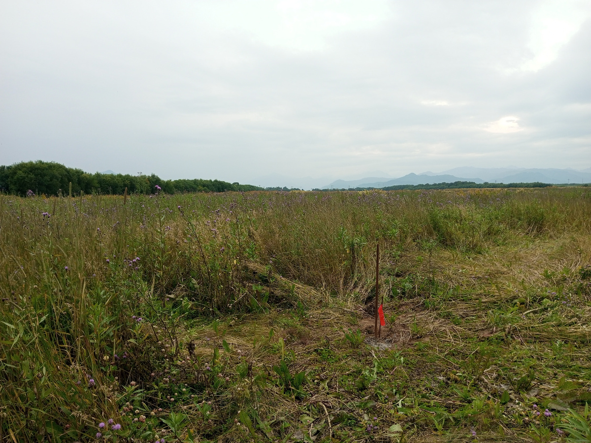 Вот такие колышки надо ставить за свой счет, называется межевания. 