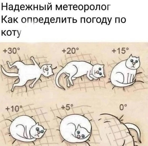 все смешные картинки и фото с котиками честно взяты мною из свободного доступа