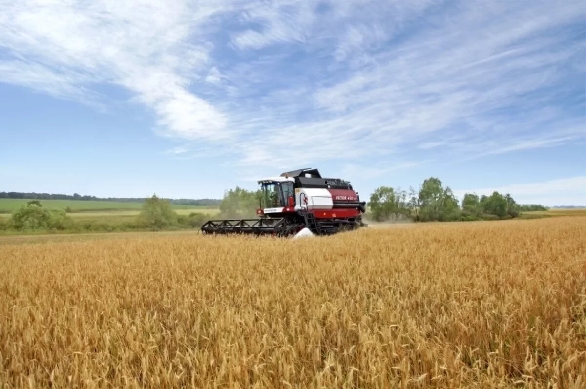    В 2025 в крае займутся мелиорацией и возвращением земель в сельхозоборот