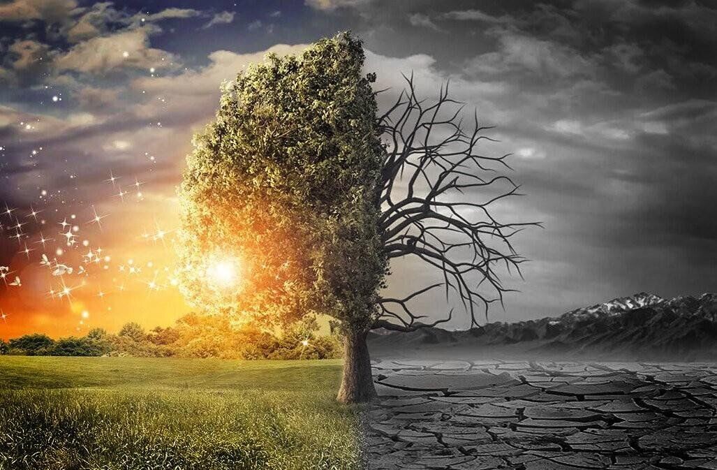 Источник https://cdn.culture.ru/