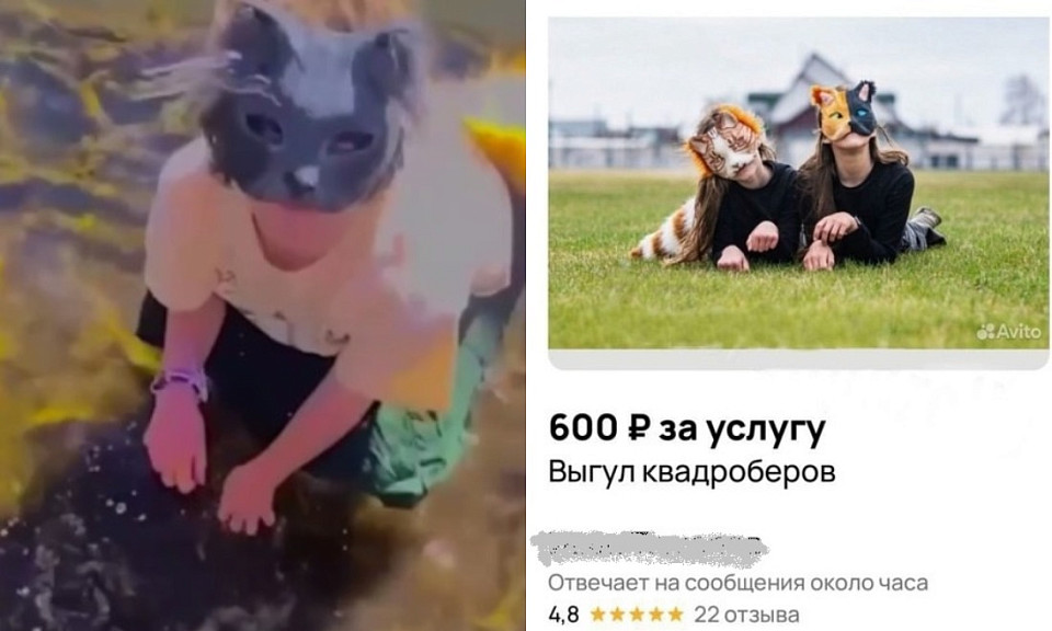 Фото: скриншот сайта объявлений "Авито", соцсети