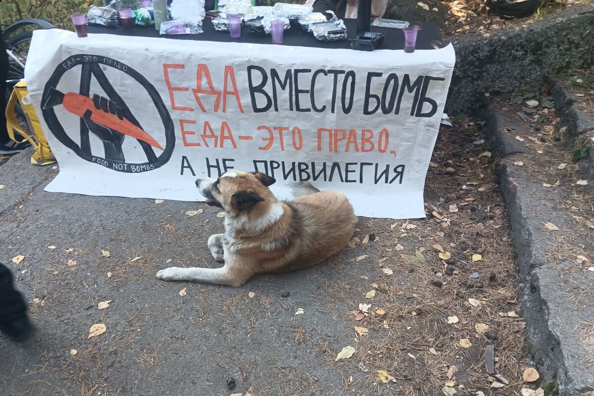 «Еда вместо бомб» привела одного из участников за решетку.  Фото: ФедералПресс / Александр Черноконь