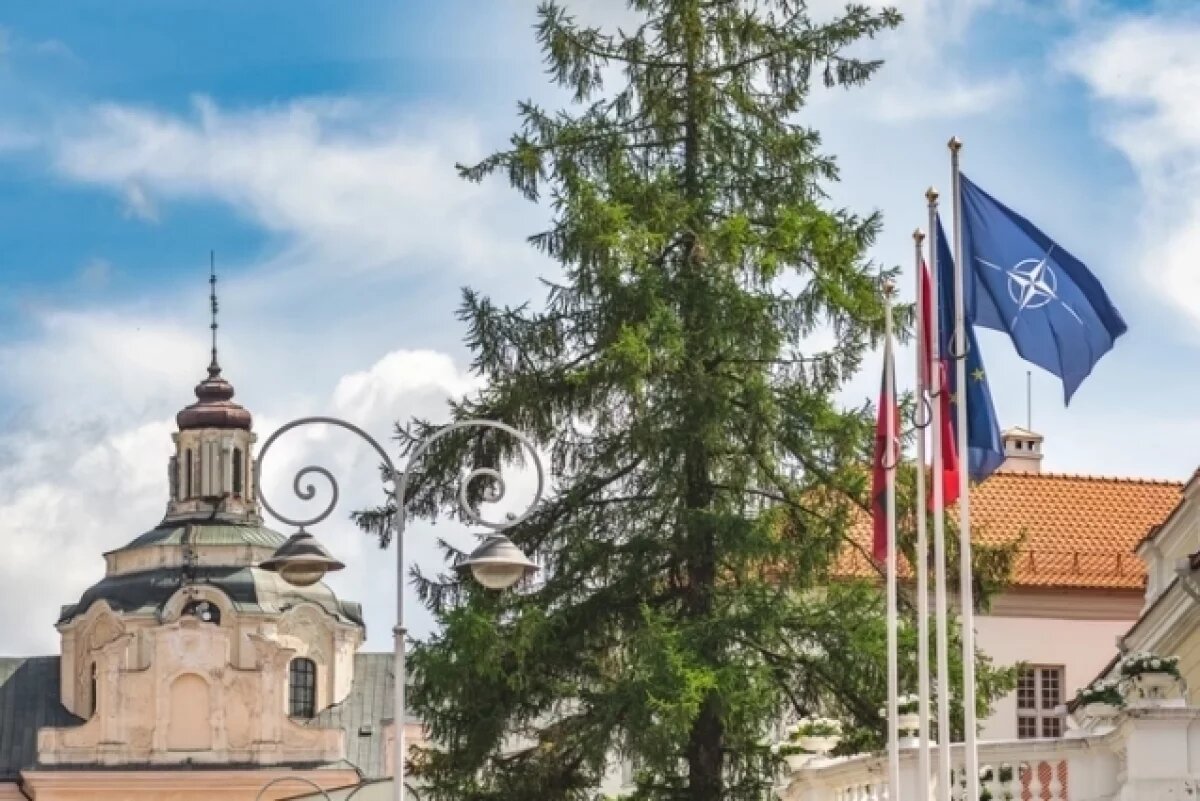    Контра Бас.
