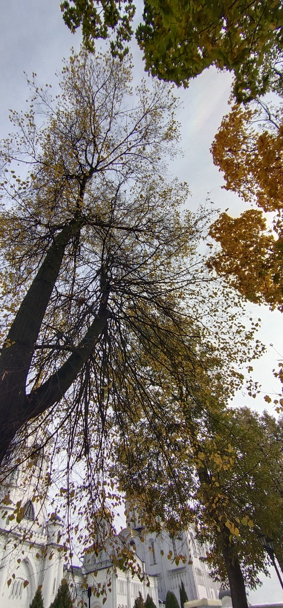 Личное фото