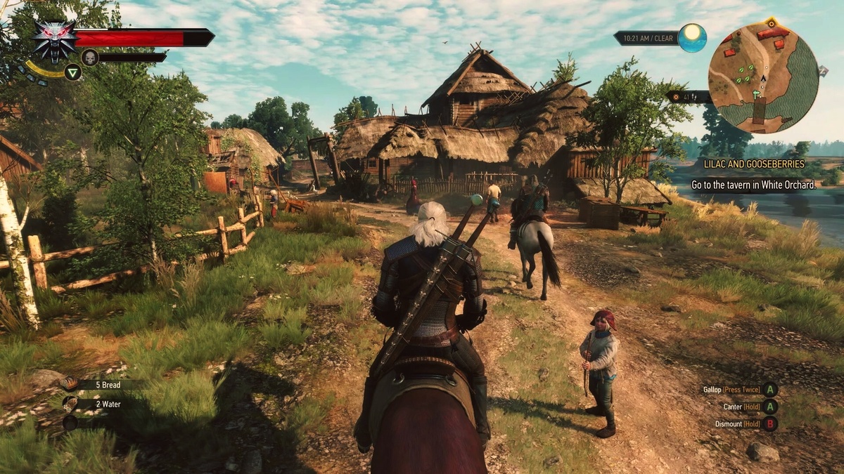 The Witcher 3: Wild Hunt 