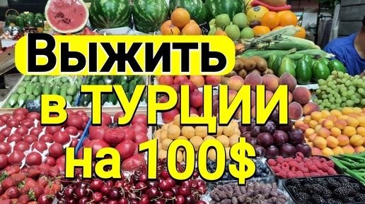 Выжить в Турции на 100 долларов - реально?