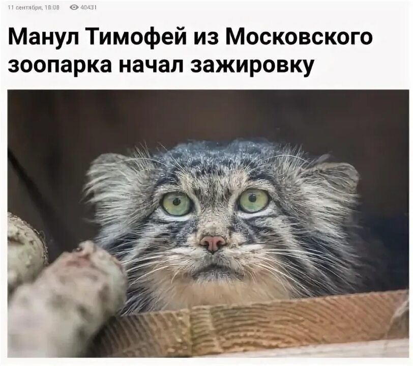 Фото из интернета 