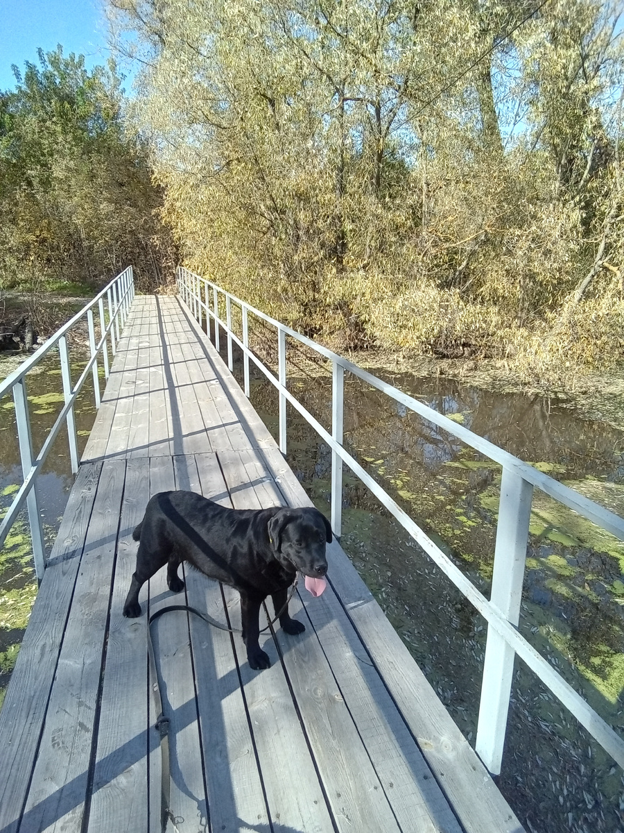 Фото автора.