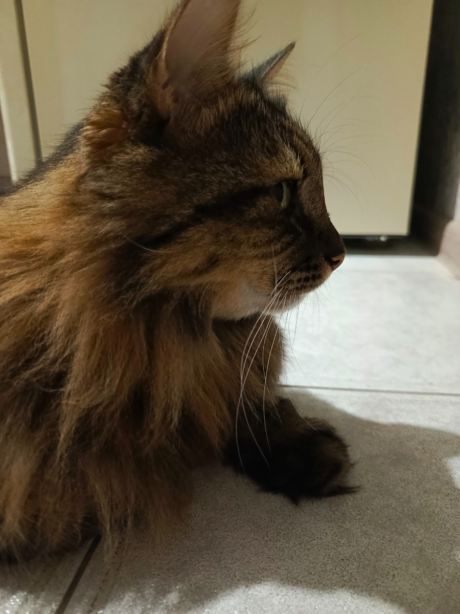 Получил кусь - иди гуляй.