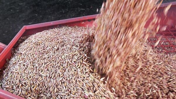    © Sputnik / Илья Наймушин