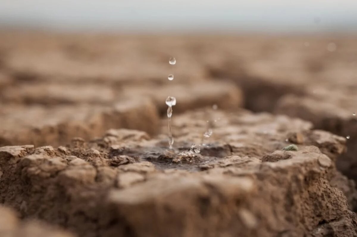    Практически Сахара.