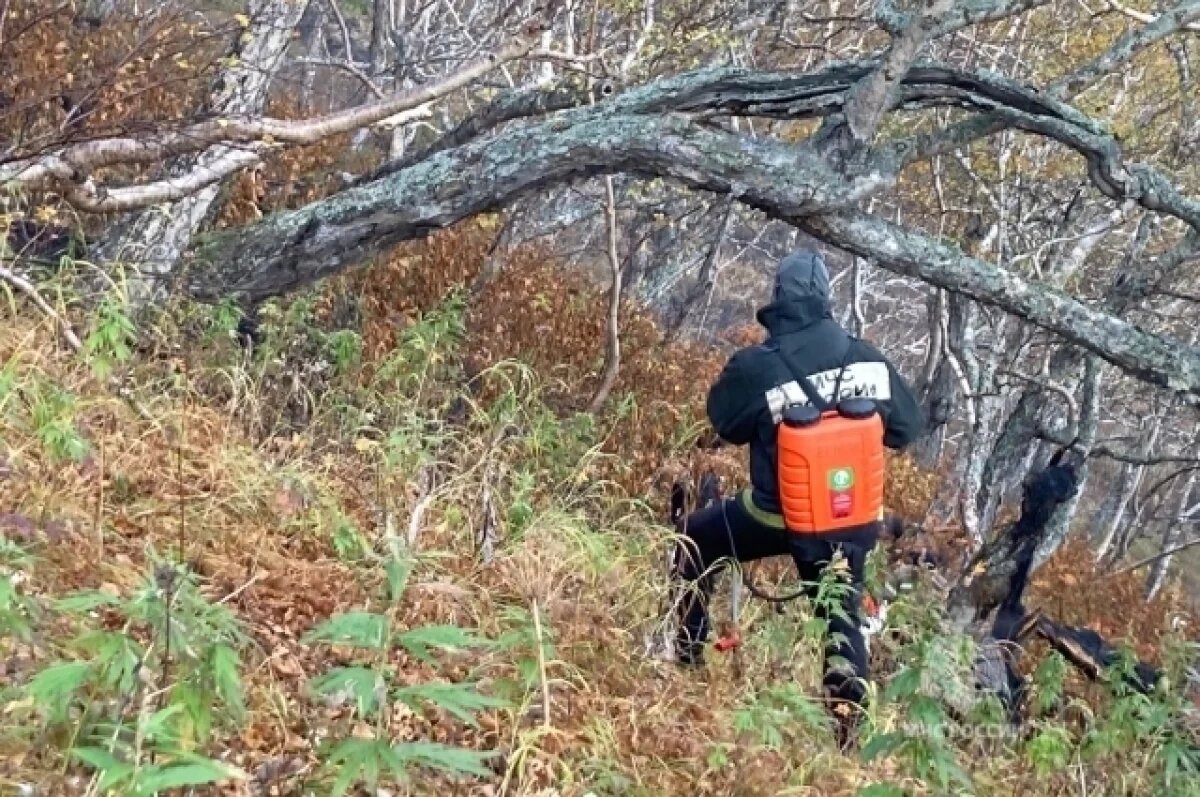    Пожарные на третий день справились с возгоранием на Камчатском камне