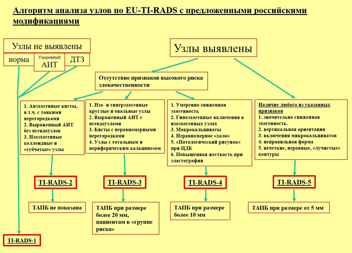 Рис. 01 - классификация TI-RADS
