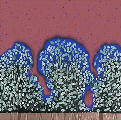 подробнее данное явление можно изучить по ссылке - 